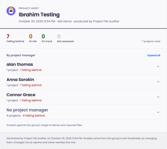 ai-agents-report-by-project-manager